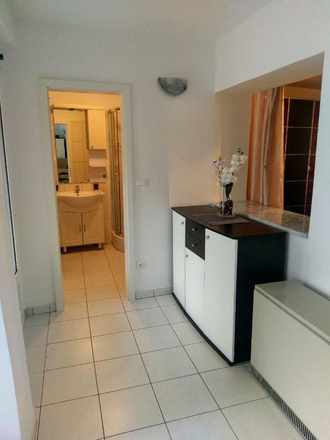 Lovely Apartment With Garden And Terrace Рієка Екстер'єр фото