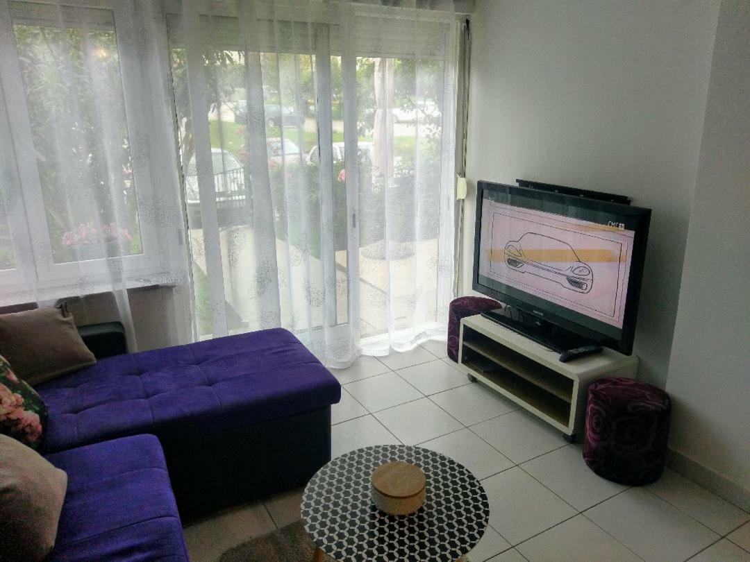 Lovely Apartment With Garden And Terrace Рієка Екстер'єр фото